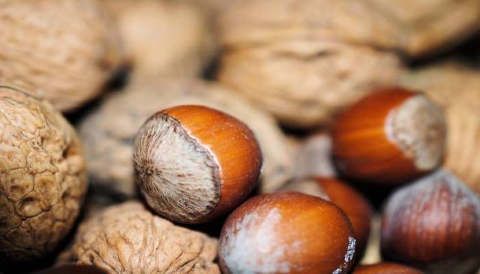 Best dry fruits for weight loss