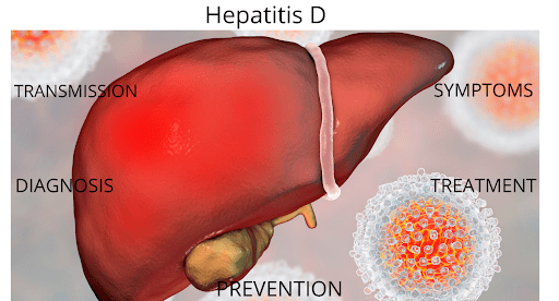 what is hepatitis D